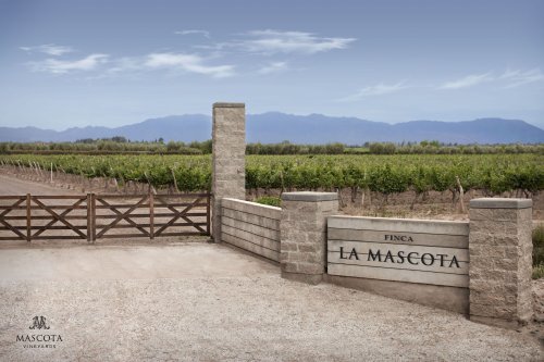 Mascota Vineyards